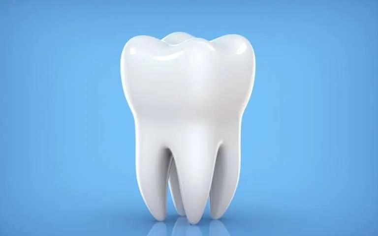 Servicii dentare pentru adulți